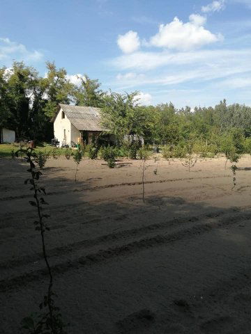 Eladó mezogazdasagi ingatlan, Ásotthalmán 4.2 M Ft