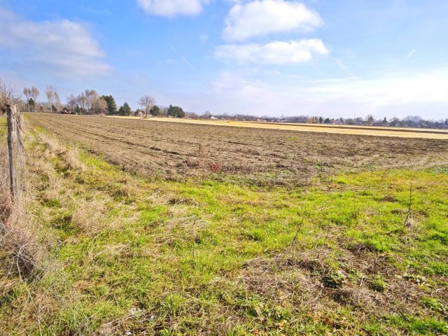 Eladó mezogazdasagi ingatlan, Szatymazon 4.5 M Ft