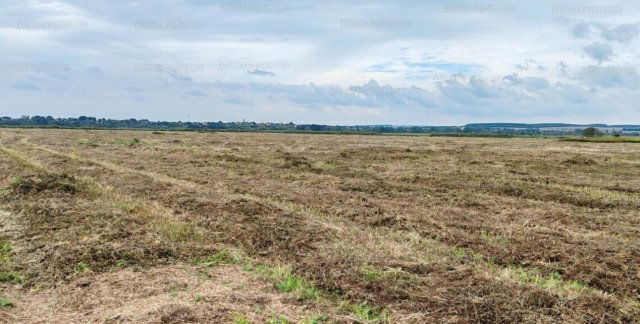 Eladó mezogazdasagi ingatlan, Sármelléken 99 M Ft