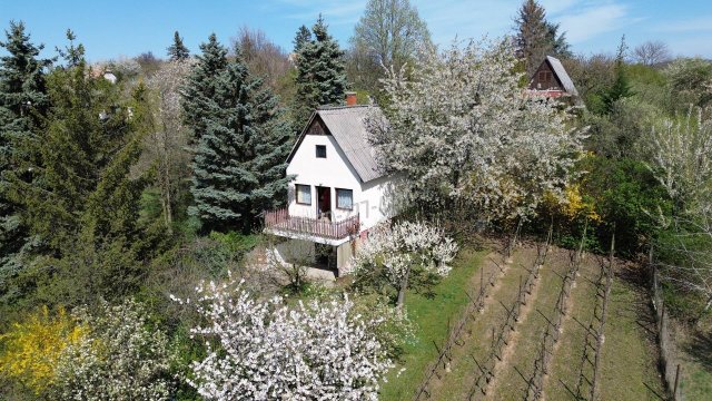 Eladó nyaraló, Oroszlányban 16.5 M Ft, 2 szobás