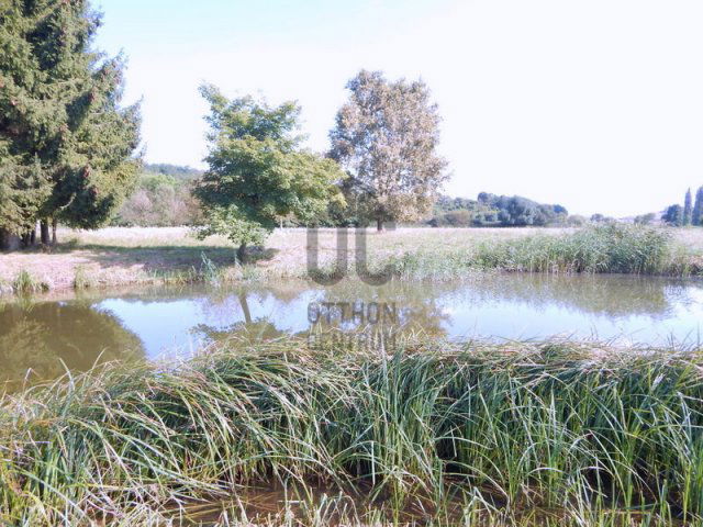 Eladó családi ház, Pusztaszentlászlón 150 M Ft, 7 szobás