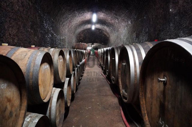 Eladó ipari ingatlan, Egerben 144.78 M Ft / költözzbe.hu