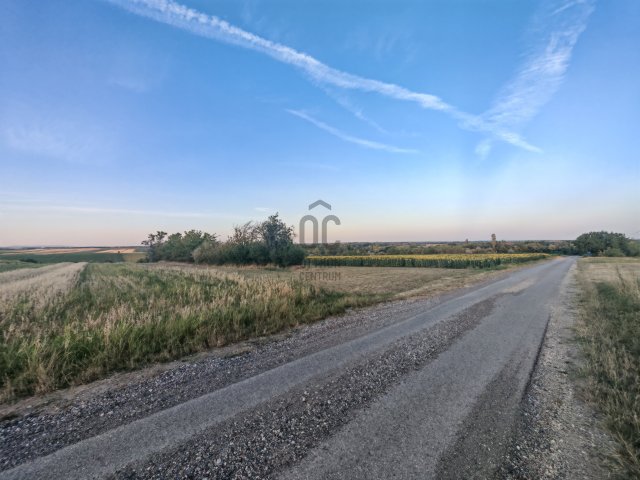 Eladó telek, Pázmándon 10.9 M Ft / költözzbe.hu