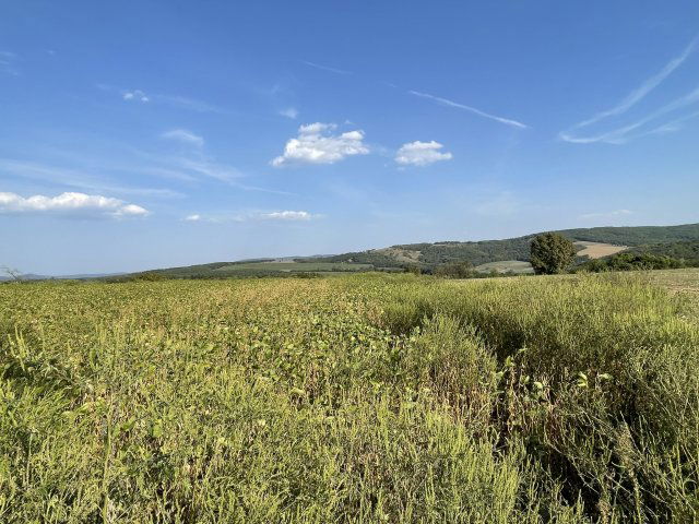 Eladó mezogazdasagi ingatlan, Zalaszentlászlón 6.5 M Ft