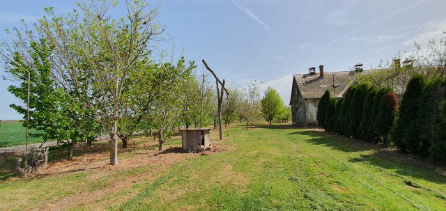 Eladó mezogazdasagi ingatlan, Kisszőlősön 64.9 M Ft