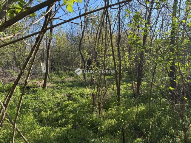 Eladó telek, Mórichidán 3.9 M Ft / költözzbe.hu