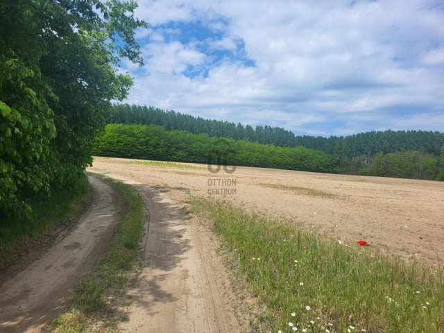 Eladó mezogazdasagi ingatlan, Pilisen 6 M Ft / költözzbe.hu