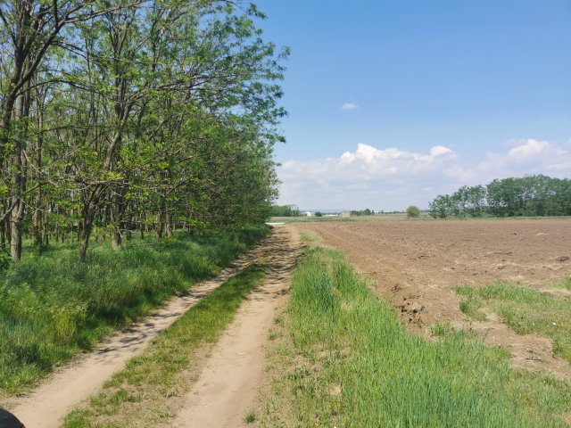 Eladó telek, Alsónémediben 880 M Ft / költözzbe.hu