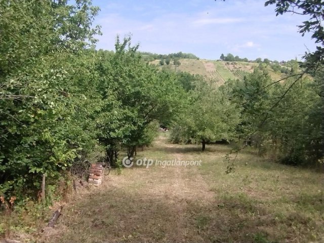 Eladó telek, Zalaszentgróton 3.65 M Ft / költözzbe.hu