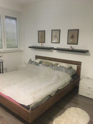 Kiadó téglalakás, albérlet, Pécsett 160 E Ft / hó, 1 szobás