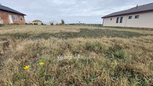Eladó telek, Tiszakécskén 8.4 M Ft / költözzbe.hu