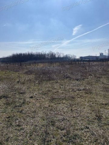 Eladó mezogazdasagi ingatlan, Lajosmizsén 99 M Ft