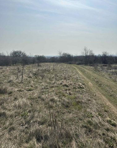 Eladó telek, Várpalotán 4.9 M Ft / költözzbe.hu