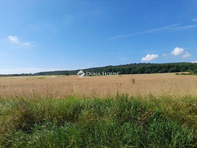 Eladó telek, Isaszegen, Ady Endre utcában 105 M Ft