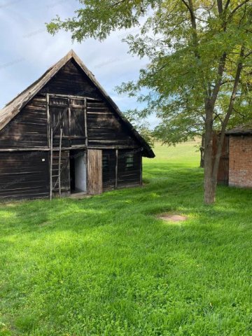 Eladó mezogazdasagi ingatlan, Lajosmizsén 205 M Ft, 22+4 szobás