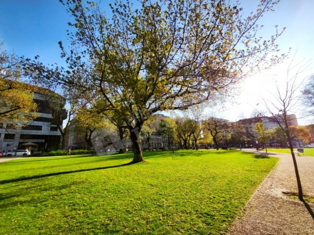 Kiadó téglalakás, albérlet, IX. kerületben, Telepy utcában