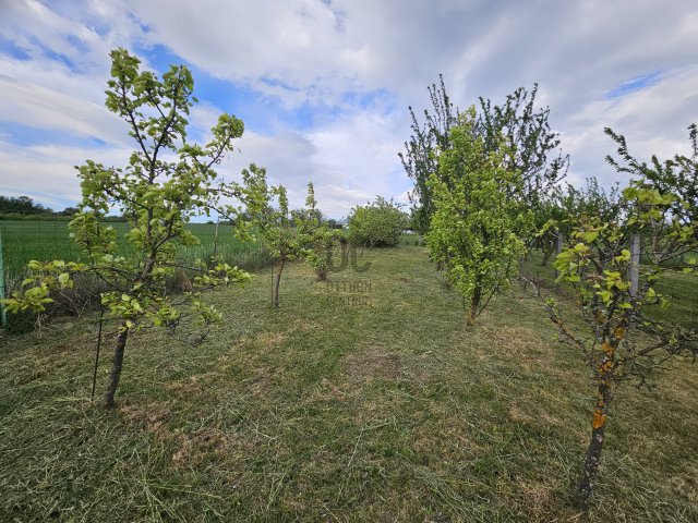 Eladó telek, Kőszegen 2.5 M Ft / költözzbe.hu