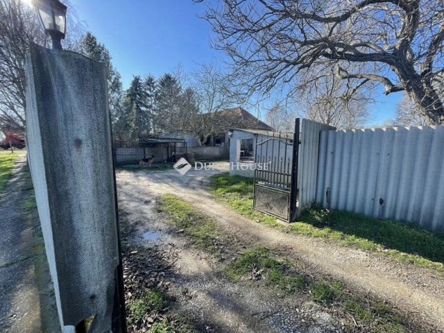 Eladó mezogazdasagi ingatlan, Dabason 195 M Ft, 6 szobás