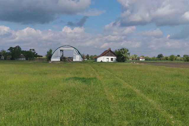 Eladó mezogazdasagi ingatlan, Békéscsabán 16.9 M Ft, 2 szobás