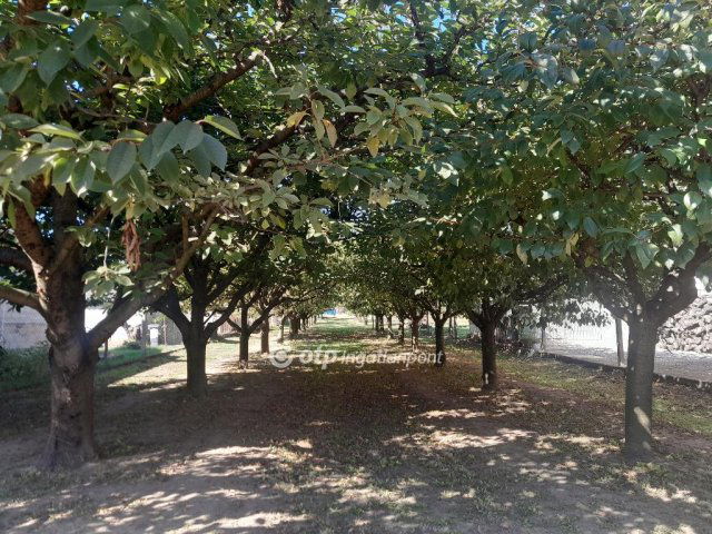 Eladó telek, Zsámbékon 40 M Ft / költözzbe.hu