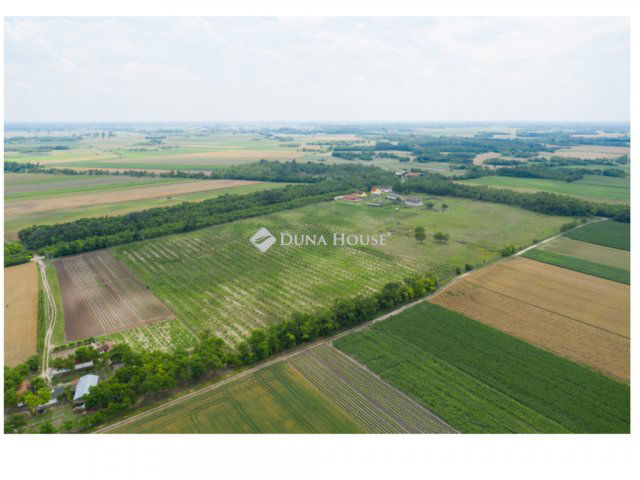 Eladó mezogazdasagi ingatlan, Kunadacson 269.115 M Ft, 4 szobás