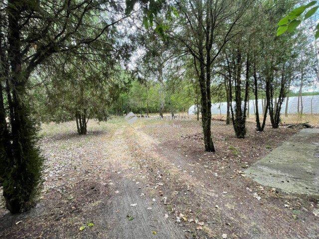 Eladó mezogazdasagi ingatlan, Jászszentlászlón 42 M Ft, 5 szobás