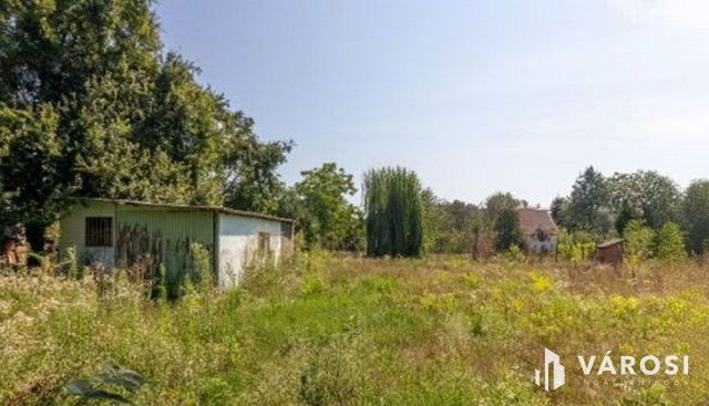 Eladó mezogazdasagi ingatlan, Szegeden 10.5 M Ft