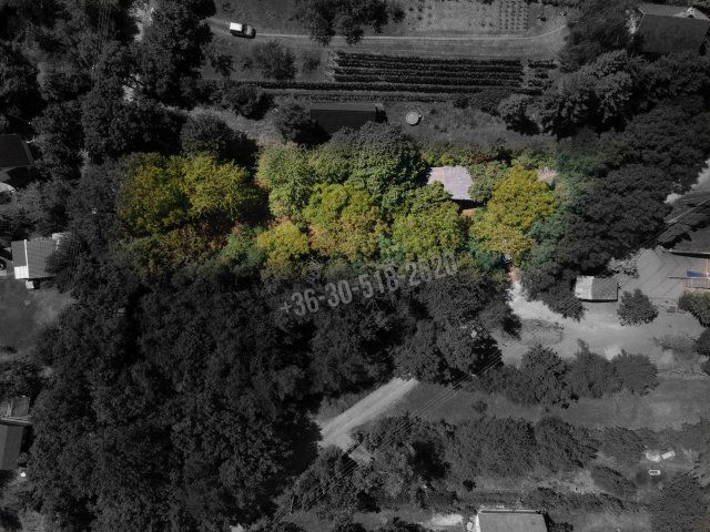 Eladó telek, Kismaroson 14.99 M Ft / költözzbe.hu