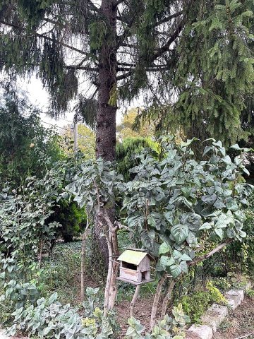 Eladó családi ház, Pátyon 110 M Ft, 3 szobás