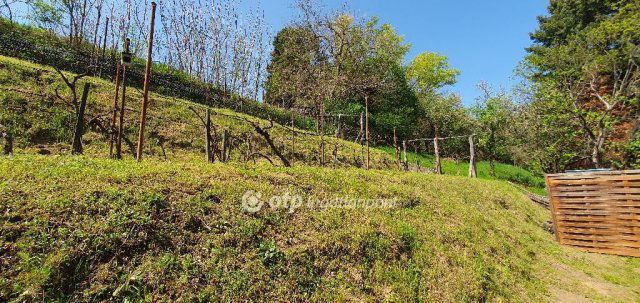 Eladó családi ház, Badacsonytomajon 134.9 M Ft, 2+3 szobás