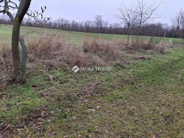 Eladó telek, Alcsútdobozon 5.6 M Ft / költözzbe.hu