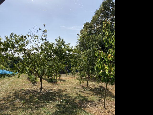 Eladó nyaraló, Nován 3.6 M Ft, 1 szobás / költözzbe.hu