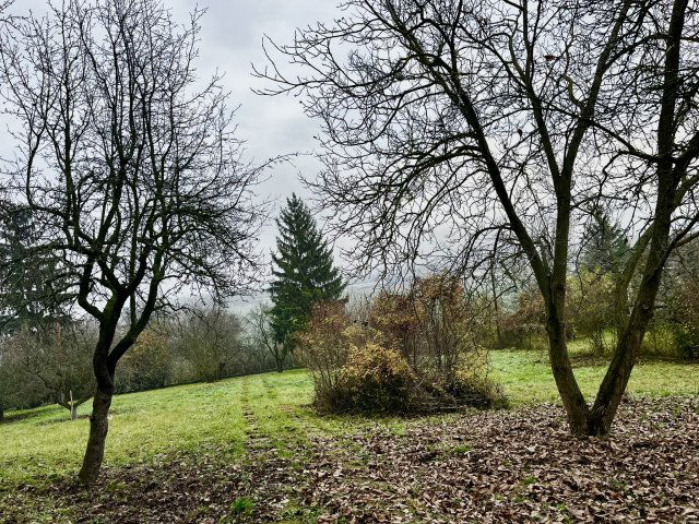 Eladó mezogazdasagi ingatlan, Szirmabesenyőn 6 M Ft