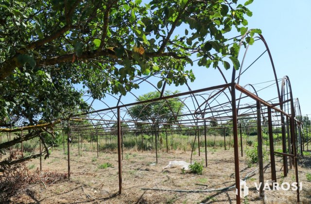 Eladó telek, Gyulán 4.5 M Ft / költözzbe.hu