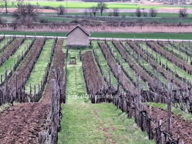 Eladó mezogazdasagi ingatlan, Tarcalon 189.99 M Ft