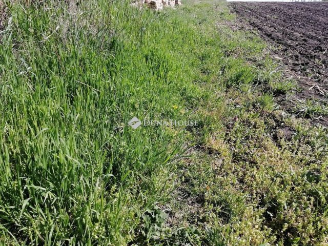 Eladó telek, Felcsúton 3.5 M Ft / költözzbe.hu