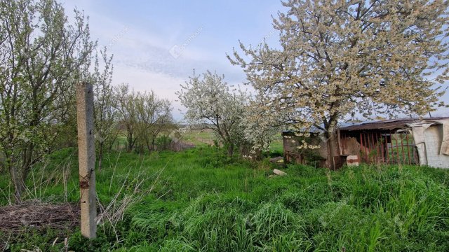 Eladó családi ház, Csépen 14.9 M Ft, 1 szobás