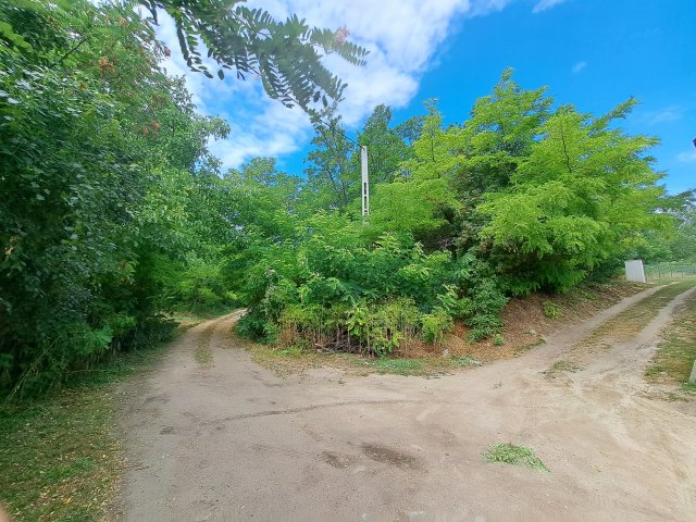 Eladó telek, Csajágon 9.8 M Ft / költözzbe.hu