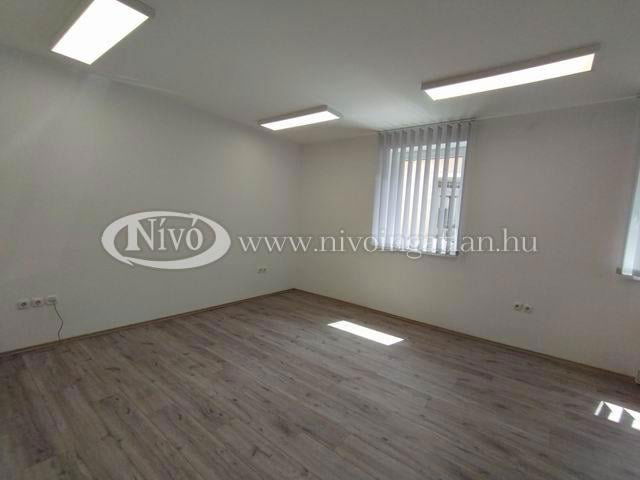 Kiadó üzlethelyiség, Veszprémben 95 E Ft / hó, 1 szobás