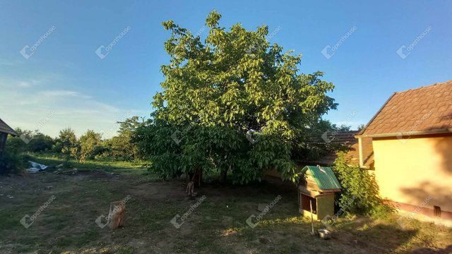 Eladó családi ház, Nagykörűn 8.9 M Ft, 2 szobás