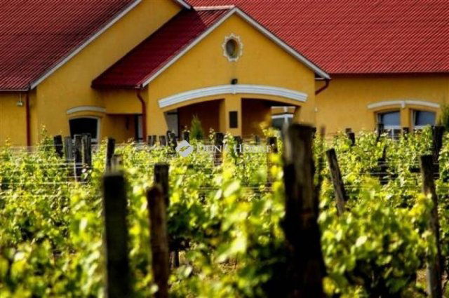 Eladó mezogazdasagi ingatlan, Baján 385 M Ft