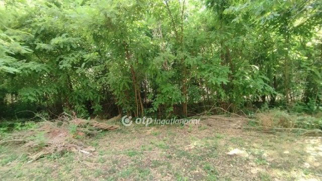 Eladó mezogazdasagi ingatlan, Jászberényben 16.5 M Ft, 2 szobás