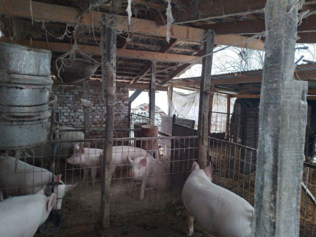 Eladó családi ház, Kardoson 32.9 M Ft, 3 szobás