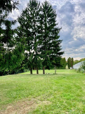 Eladó családi ház, Szelestén 54.9 M Ft, 3 szobás