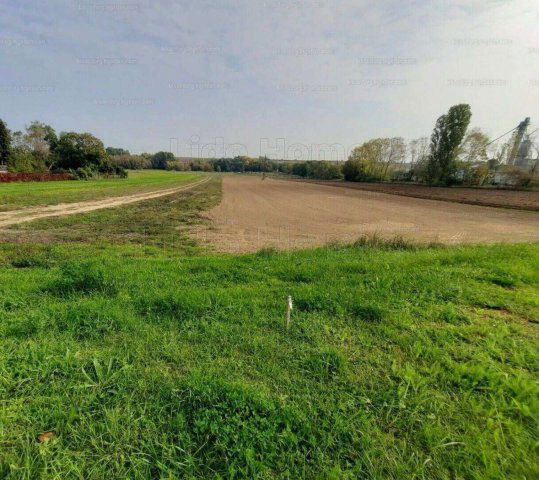 Eladó telek, Zamárdiban 82.9 M Ft / költözzbe.hu