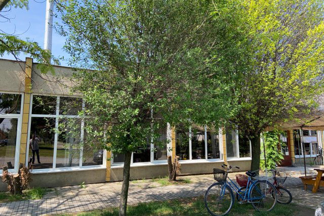 Eladó üzlethelyiség, Maroslelén 29.5 M Ft / költözzbe.hu