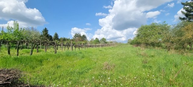 Eladó családi ház, Bicskén 19.99 M Ft, 2 szobás