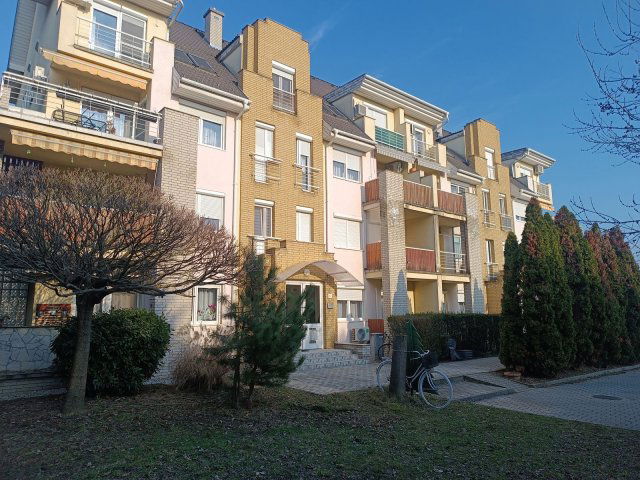 Kiadó téglalakás, albérlet, Ajkán, Tölgyfa utcában