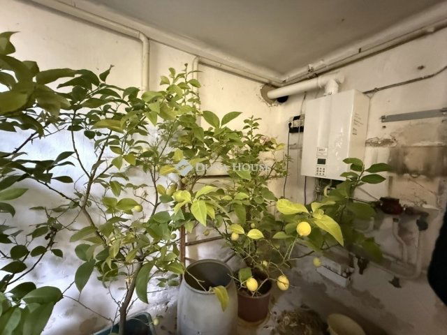 Eladó családi ház, Pécsett 79.9 M Ft, 5 szobás