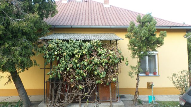 Eladó családi ház, Kunmadarason 13.3 M Ft, 3 szobás